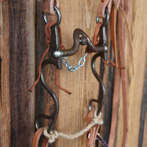 Western bridle rig with V-port bit and roller