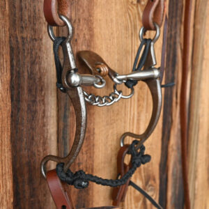 Western bridle rig with floating spoon mouthpiece