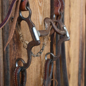 Western bridle rig with flat port bit